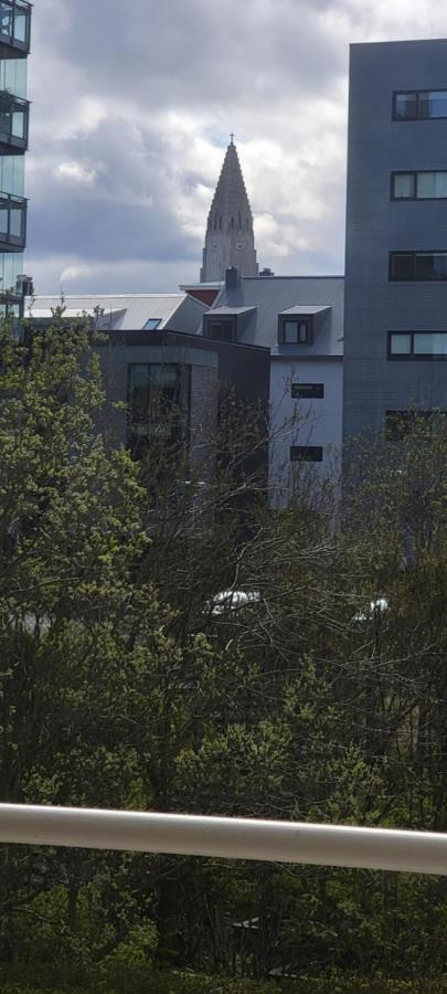 Ocean View Apartment In Downtown Reykjavík Buitenkant foto